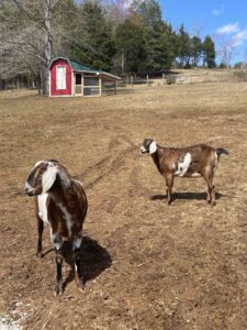 Welcome to the farm
